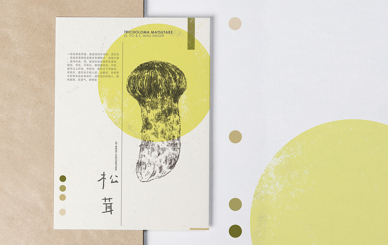 云南野生菌 | 非 致幻图谱