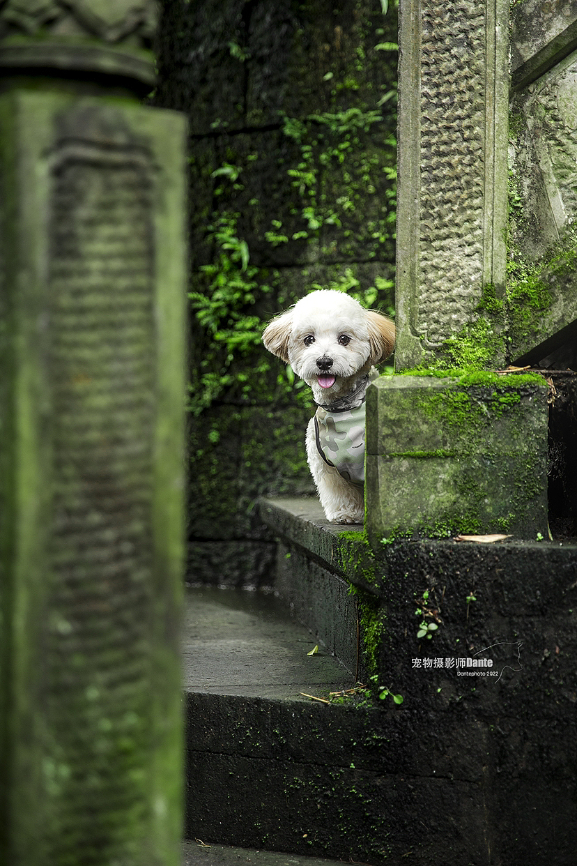 腾冲古镇 哈瓦那