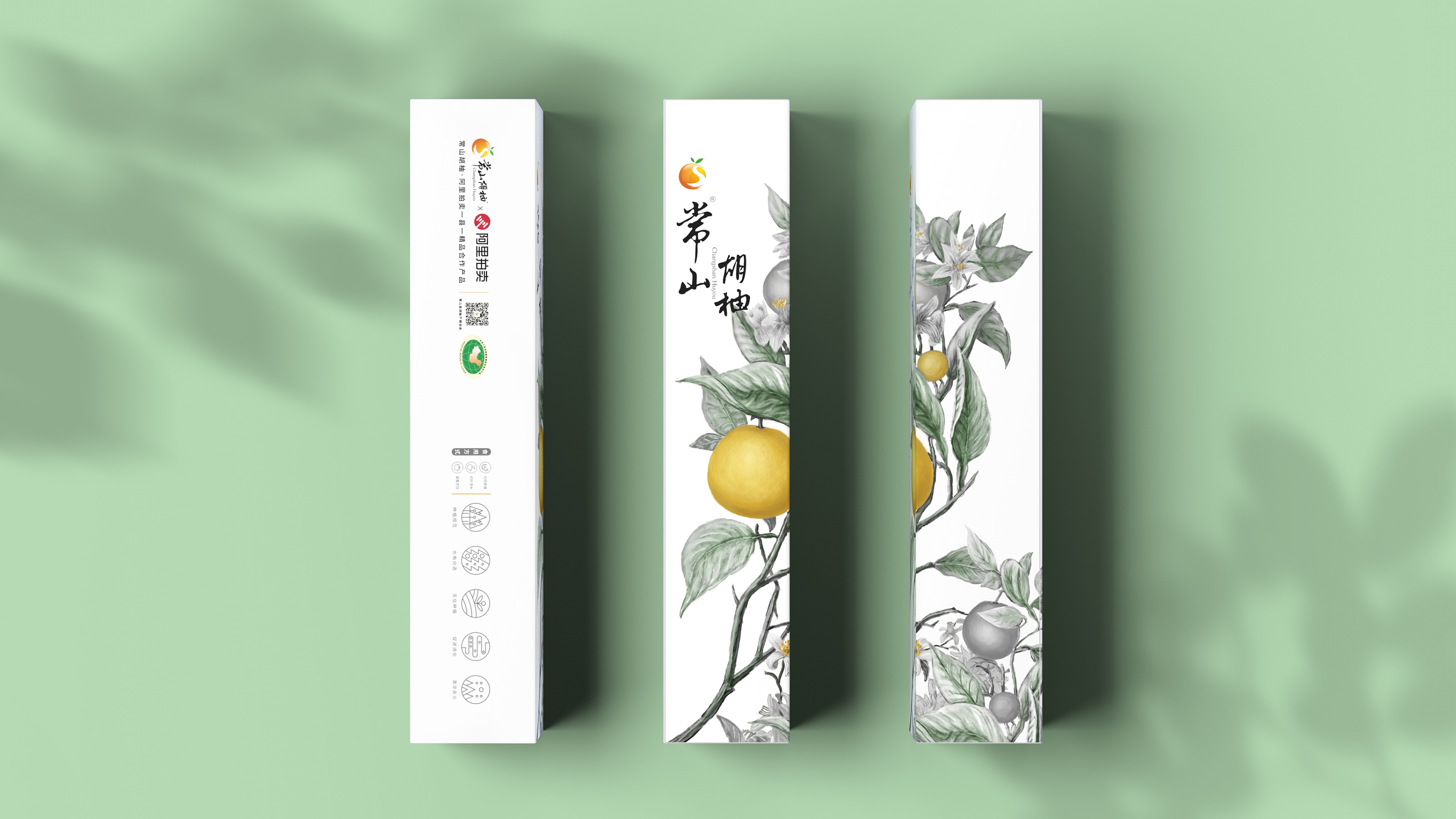 被一只水墨风的胡柚惊艳到,有内味了!