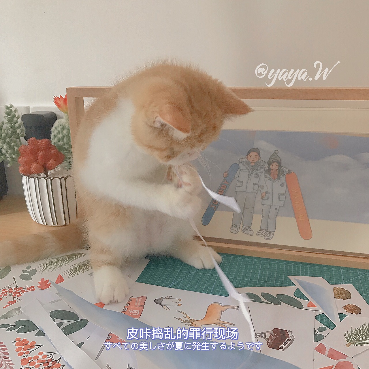 原创拼贴画｜北海道之旅情侣插画（图ZMjQwMjgxOTcy） - 绘画 - 站酷设计师爱喝汤的插画师原创素材 - 站酷ZCOOL