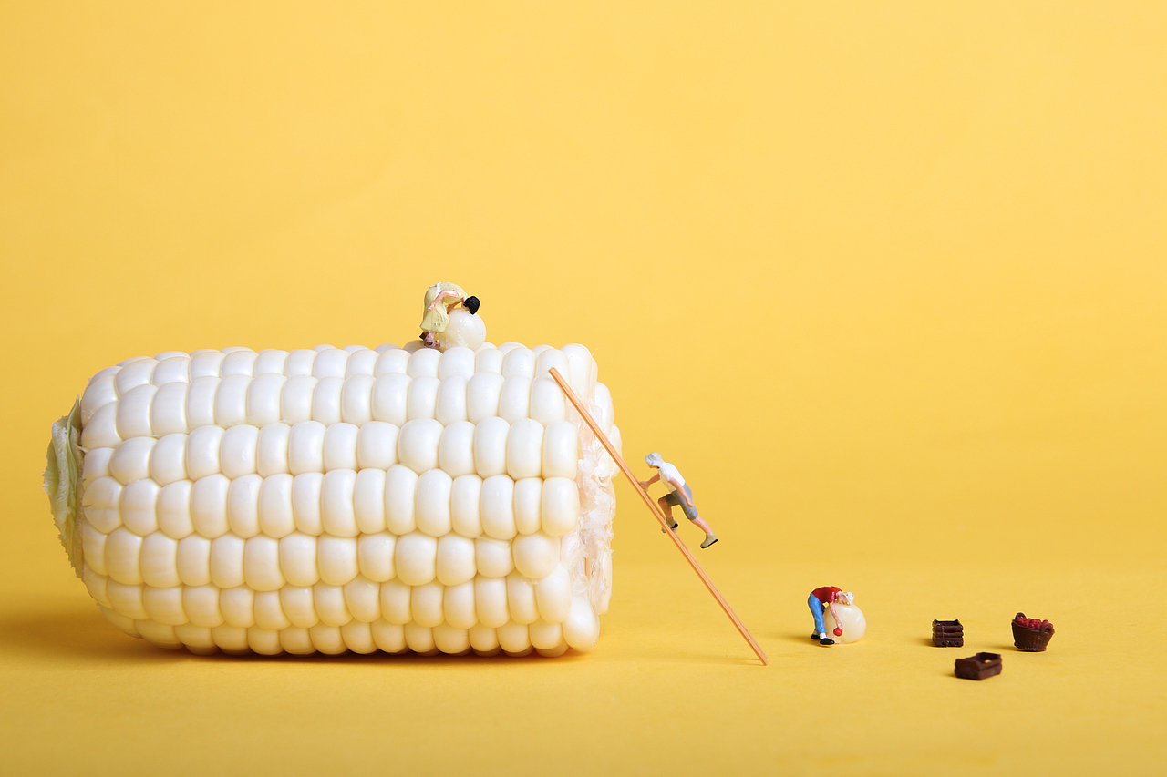 微观创意摄影玉米