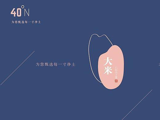 大米包装设计