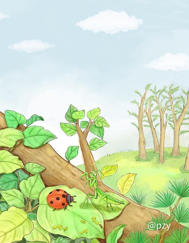 去年的一套书部分图（图ZMzAzNDg5NzA4） - 儿童插画 - 站酷设计师里里pzy原创素材 - 站酷ZCOOL