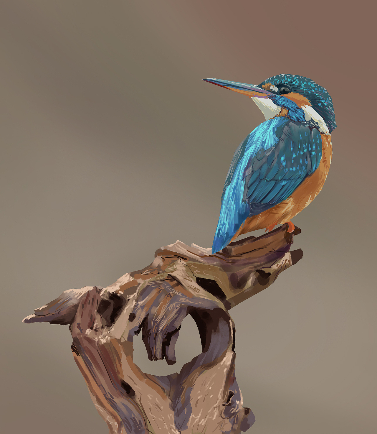 一些个人作品练习