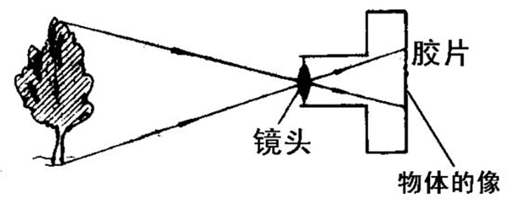 vivo x20的2400万感光单元是2400万像素吗|摄影|观点|阿布要长大