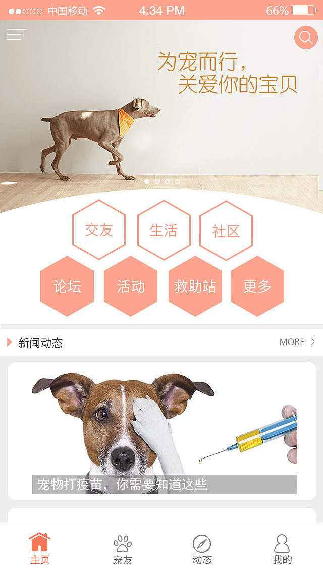 爱宠·你 宠物交友APP（图ZMTA3NzMzMzE2） - APP界面 - 站酷设计师浅度微微笑原创素材 - 站酷ZCOOL