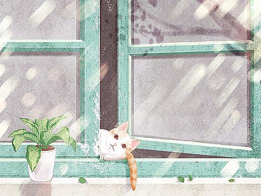 二十四节气-猫与季节