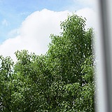 二班阿风的头像