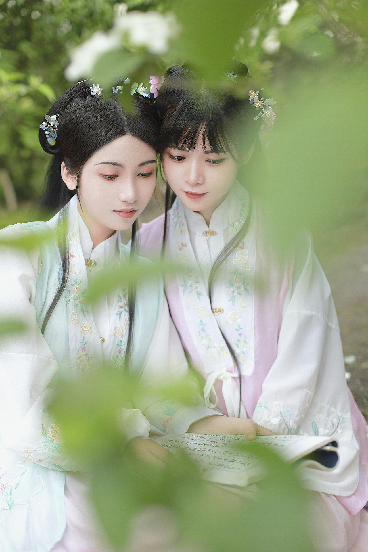 春日花神 木绣球 ｜绣球春晚欲生寒 满树玲珑雪未干 