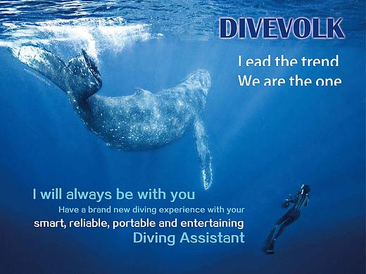 最近半年平面设计作品(HR可观看)