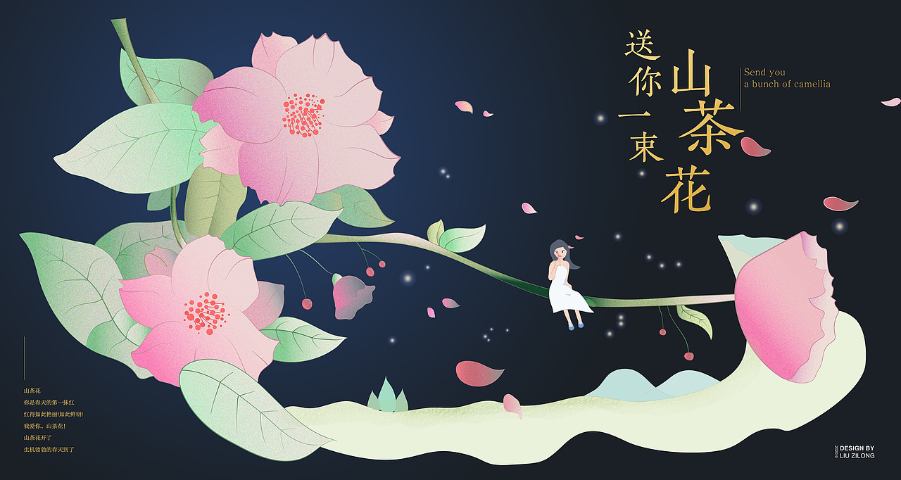 山茶花女孩:送你一束山茶花