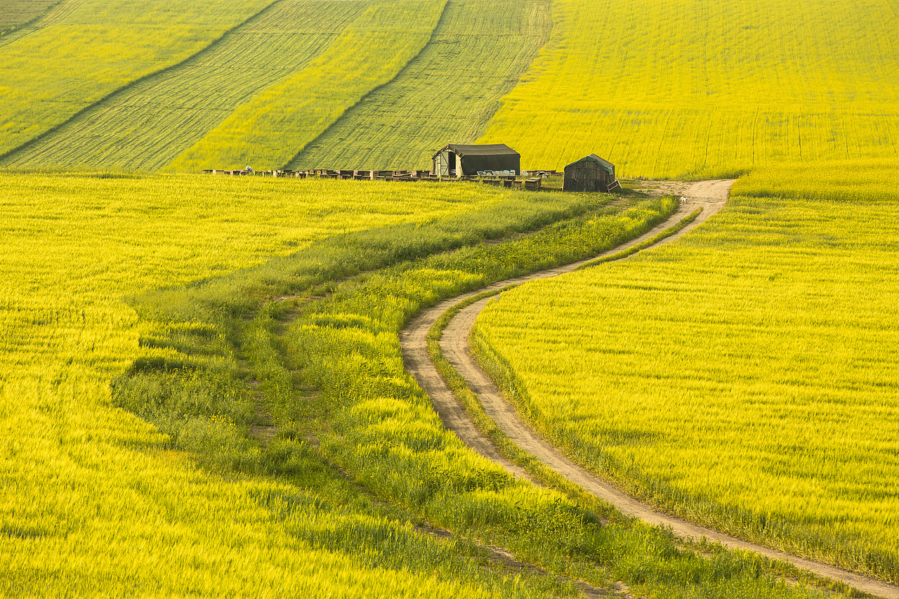 新疆塔城（图ZMTc3MTM5ODI0） - 风光摄影 - 站酷设计师新疆摄影家沈久泉原创素材 - 站酷ZCOOL