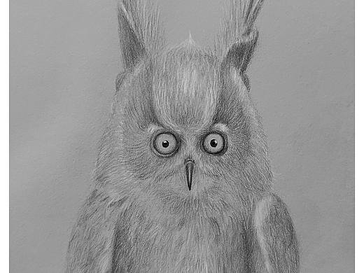 猫头鹰（个人主页-ZNjA0MTA5NjA=） - 儿童插画 - 站酷设计师alphatoto原创素材 - 站酷ZCOOL