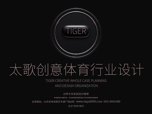 体育品牌设计、健身品牌设计、体育器材策划-太歌创意