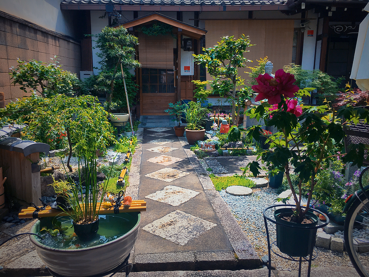 京都·寺·庭院
