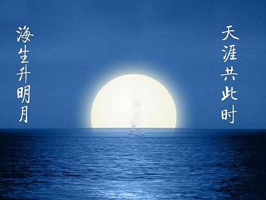 大德中电智能家居假日海报-中秋