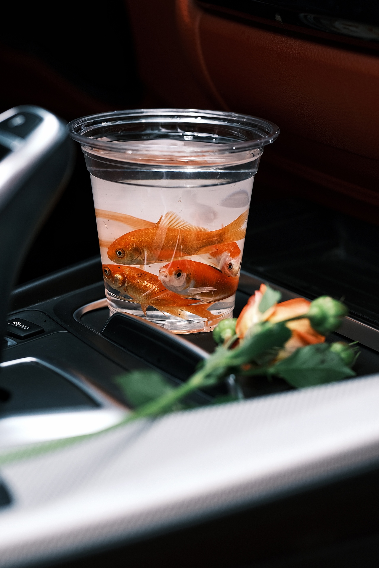 雨天氛圍感（圖ZMzY4NDk1Mzgw） - 其他攝影 - 站酷設計師別人笑我太瘋顛啊原創(chuàng)素材 - 站酷ZCOOL