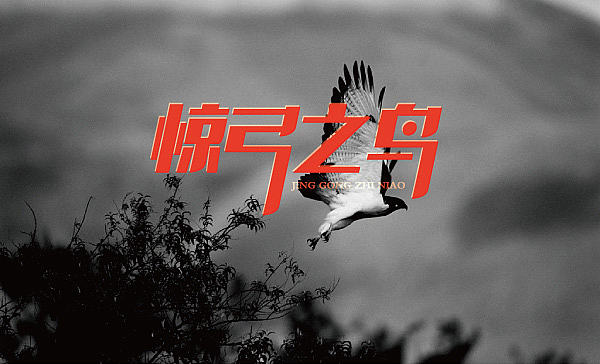 2014一些字体练习（个人主页-ZMzQwMDAxMg==） - 字体/字形 - 站酷设计师徐羊飞原创素材 - 站酷ZCOOL