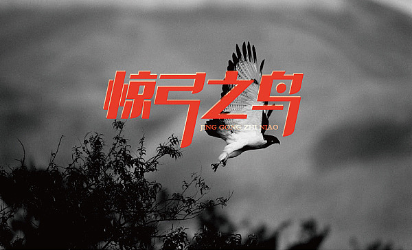 2014一些字体练习（图ZMTQ5ODYzMTI=） - 字体/字形 - 站酷设计师徐羊飞原创素材 - 站酷ZCOOL