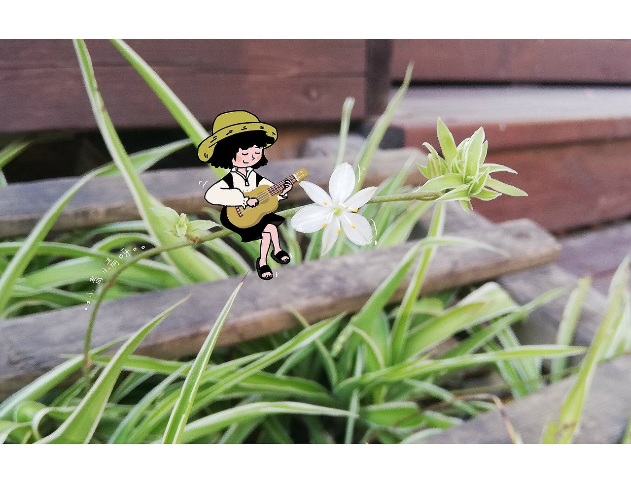 大大的世界小小的我——植物篇（图ZMjAyODU3MzA0） - 艺术插画 - 站酷设计师小青小青呀原创素材 - 站酷ZCOOL