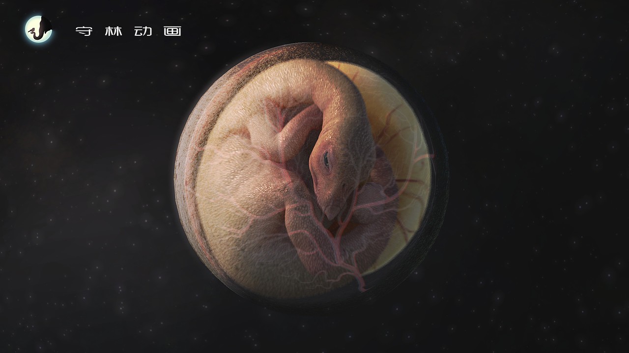 蜥脚类恐龙的胚胎