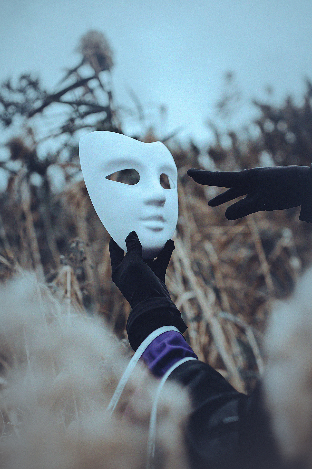 《玉面寄清容》