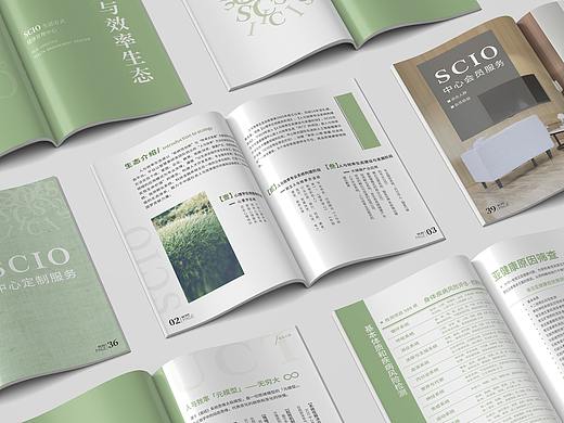 2020 画册排版设计丨商业案例