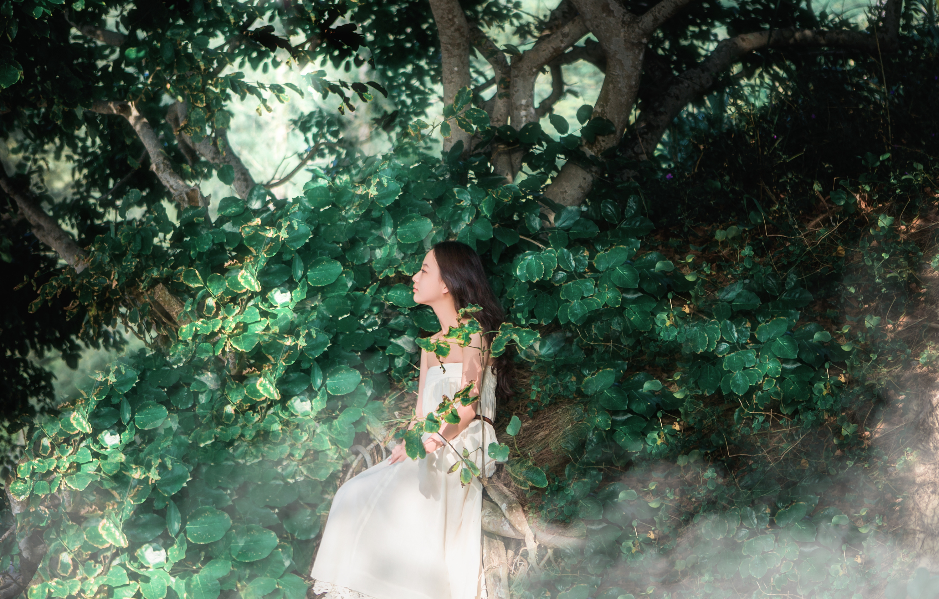 人像摄影后期ps修图调色教程 影楼修片课程