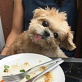 挽挽wiiii的头像
