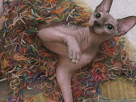 《嬉猫》