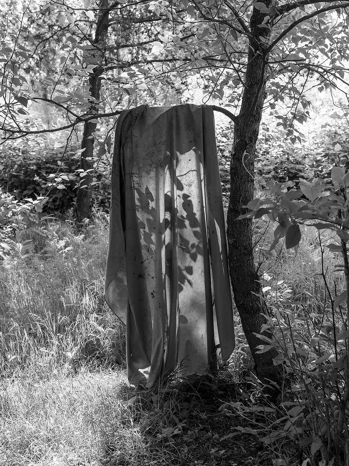 残酷下的感性（图ZMjEyMjY1MDQ0） - 其他摄影 - 站酷设计师小鱼游不动了原创素材 - 站酷ZCOOL