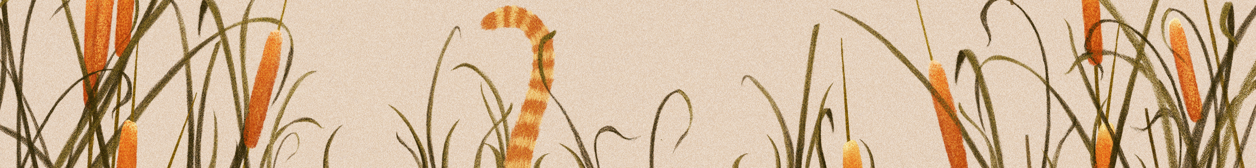 各旧1993的个人主页（封面预览） - 主页封面设置 - 站酷设计师各旧1993原创素材 - 站酷ZCOOL