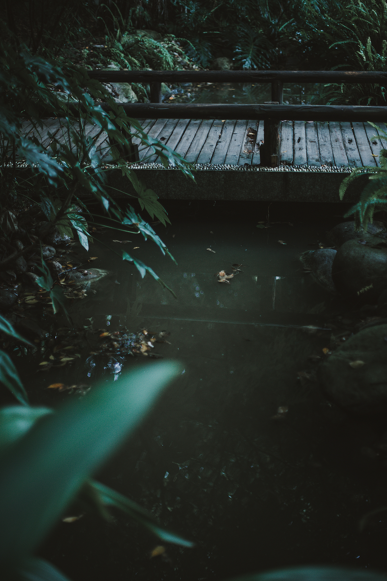 雨幽清话，院静销夏（图ZMTIzMjI3NTY0） - 人文/纪实摄影 - 站酷设计师摄影师班班原创素材 - 站酷ZCOOL