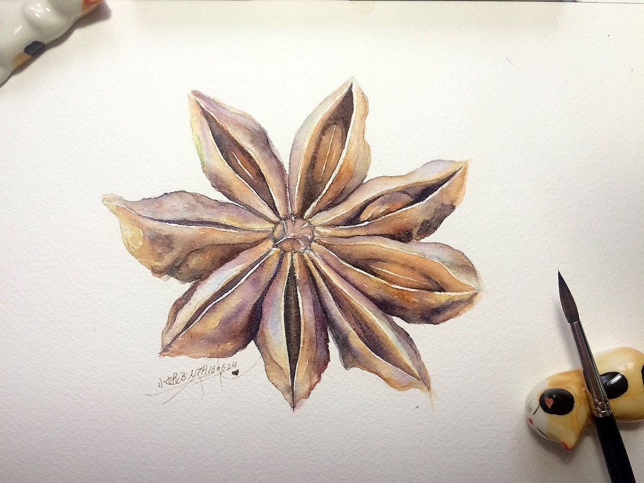 小妮子水彩香料篇八角