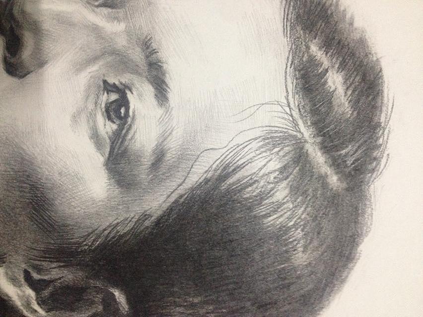 数据素描（图ZMTIzOTI1MjEy） - 绘画 - 站酷设计师姚雨辰yyc原创素材 - 站酷ZCOOL