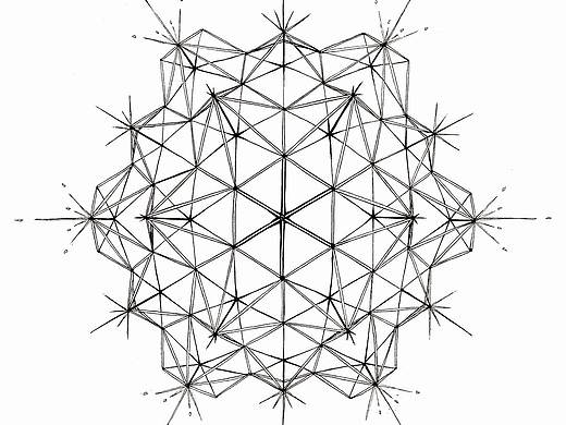 放射虫-图案设计