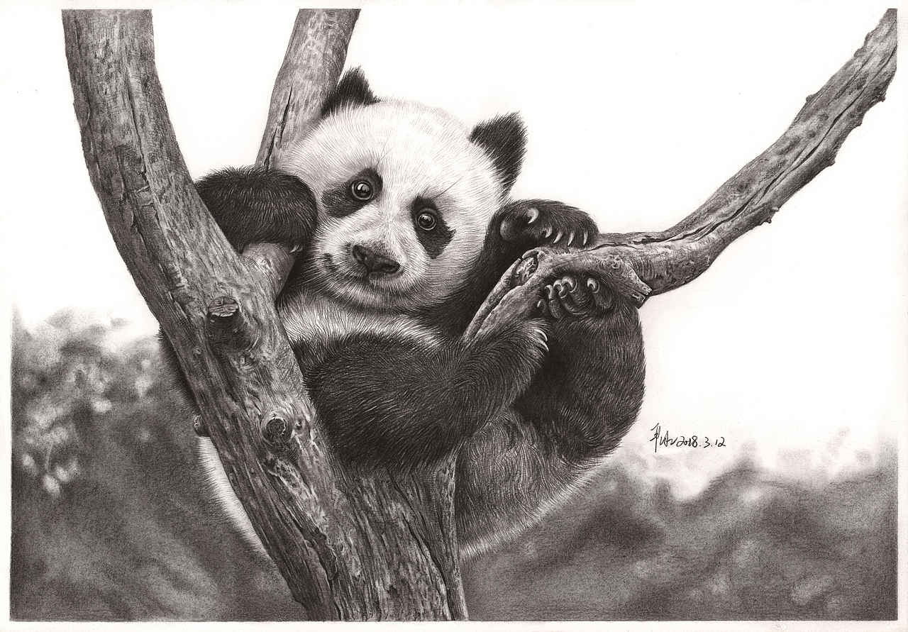 严冰《一些素描习作》（图ZMTQwODEzMTEy） - 绘画 - 站酷设计师二水Art原创素材 - 站酷ZCOOL