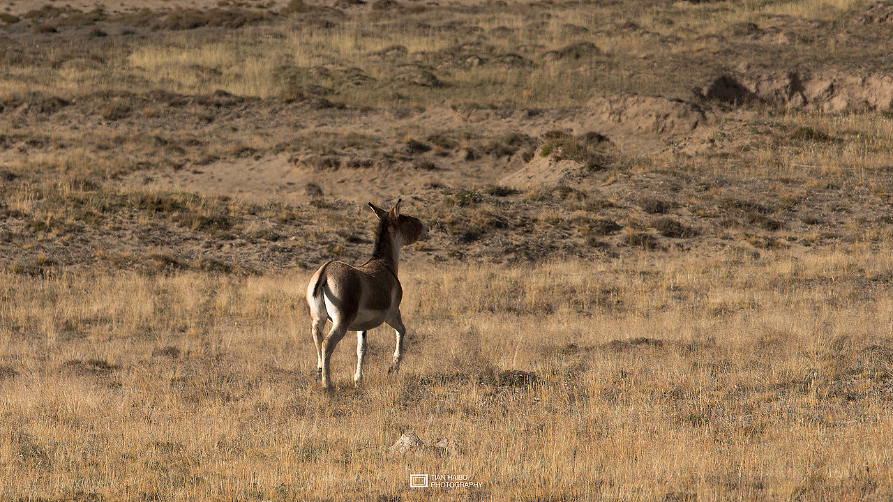 地儿来了·记忆里的那次穿越