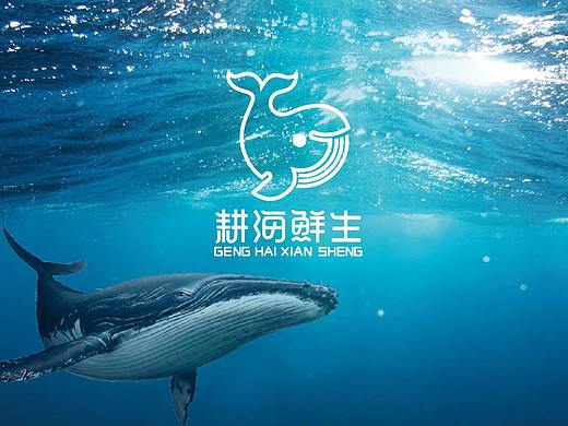 耕海鲜生品牌形象设计及策划/包装设计/品牌设计