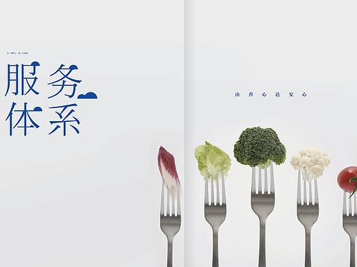 浙农茂阳画册设计