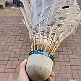 烤焦的五花R的头像
