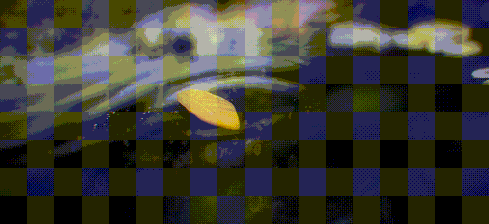 毕业设计 《江湖》CG（图ZMzM5NjA3MDUy） - 动画/影视 - 站酷设计师Surge882原创素材 - 站酷ZCOOL