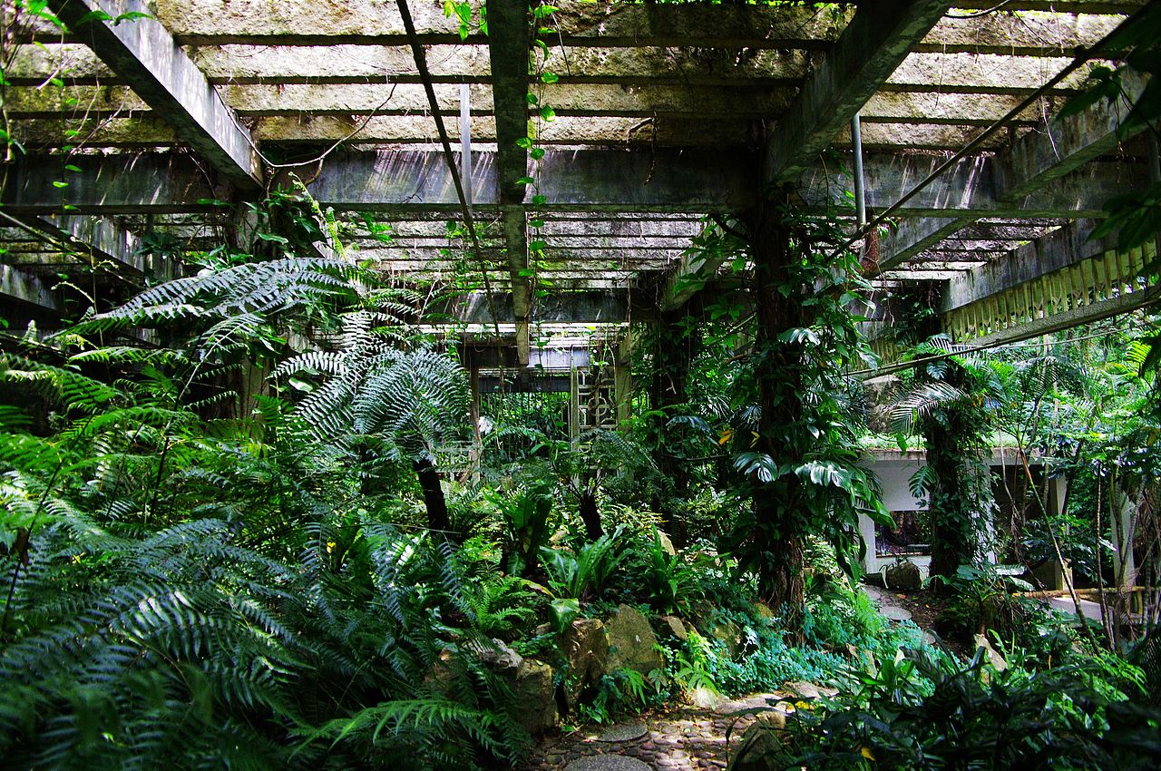 綠（圖ZNDg4MzY3NzY=） - 風(fēng)光攝影 - 站酷設(shè)計(jì)師特大號(hào)小米蟲原創(chuàng)素材 - 站酷ZCOOL