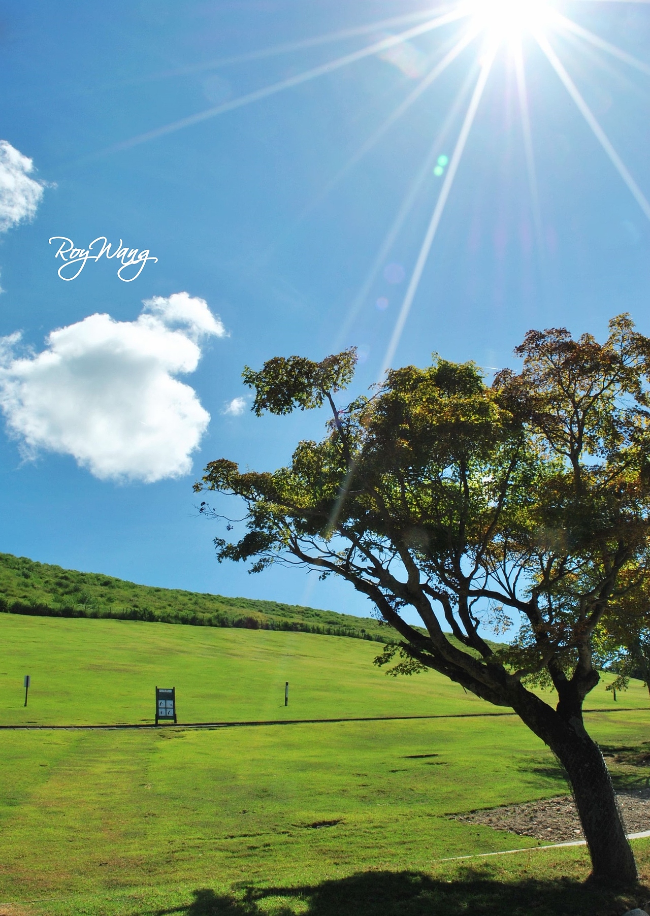 RoyWang作品 奈良之夏（图ZMTQ1NjU3Ng==） - 风光摄影 - 站酷设计师Roywang光绘艺术原创素材 - 站酷ZCOOL