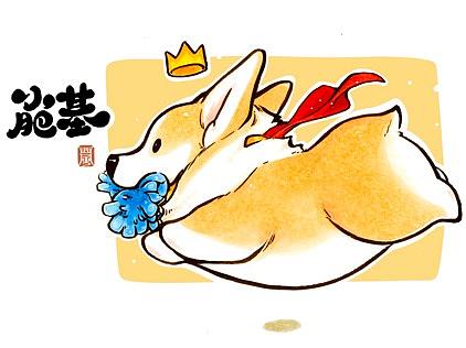 小肥基--柯基犬插画