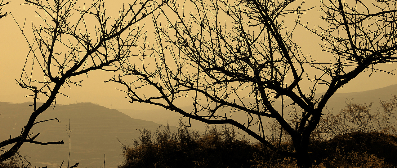 一年一次的回家  一年一次的记忆