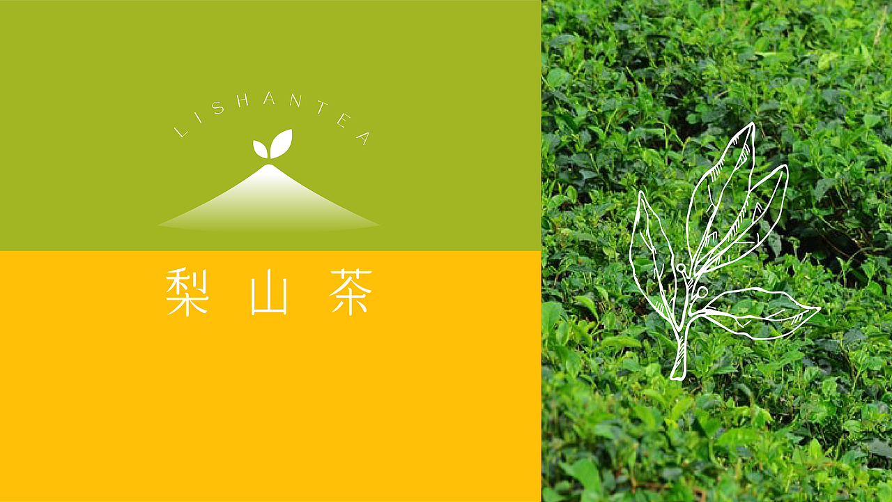 原创品牌设计 | 梨山茶
