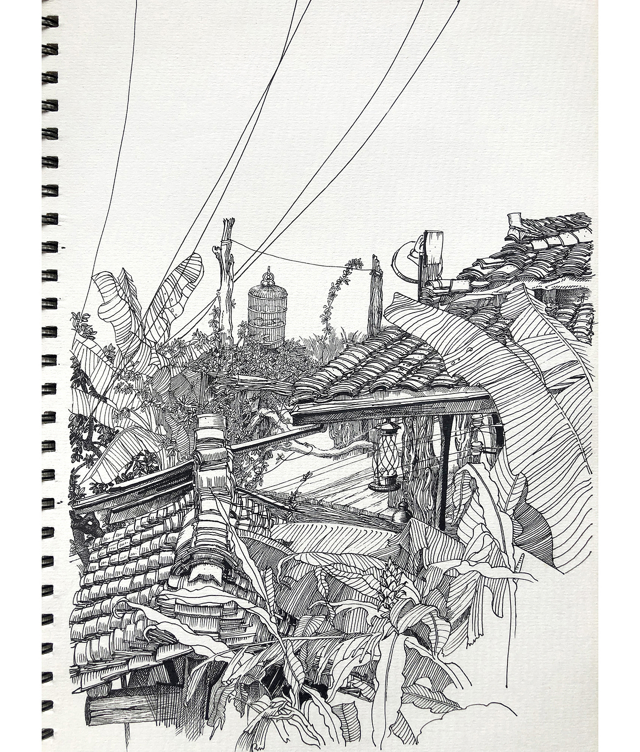 苏武钢笔插画《老屋》写生创作过程