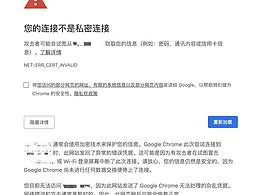 thisisunsafe解决chrome浏览器打不开私密连接的问题