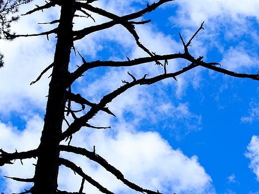 九寨沟之（个人主页-ZMTgyMjcyNDQ=） - 风光摄影 - 站酷设计师琍囡原创素材 - 站酷ZCOOL